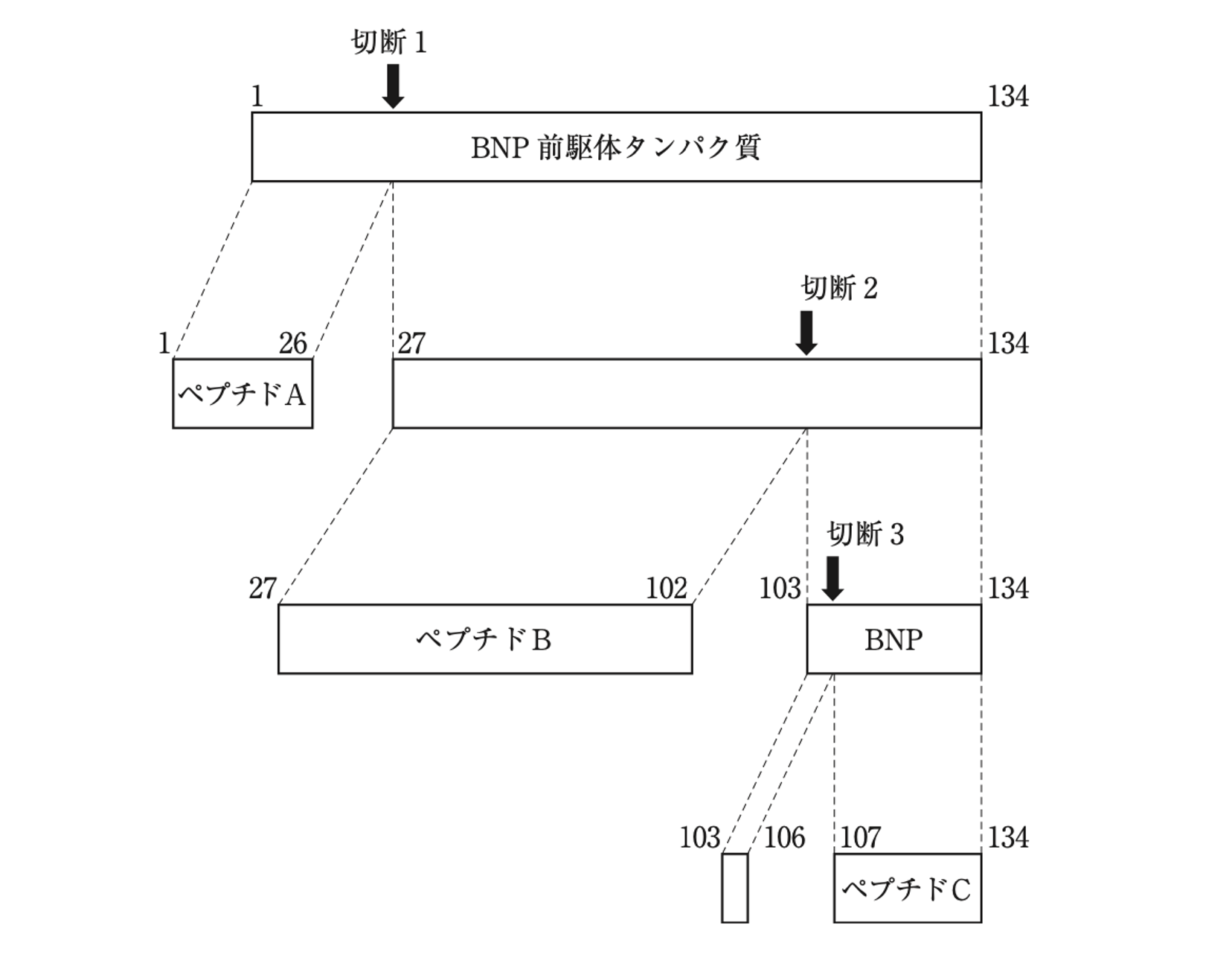解説画像